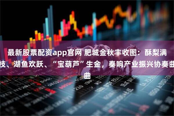 最新股票配资app官网 肥城金秋丰收图：酥梨满枝、湖鱼欢跃、“宝葫芦”生金，奏响产业振兴协奏曲