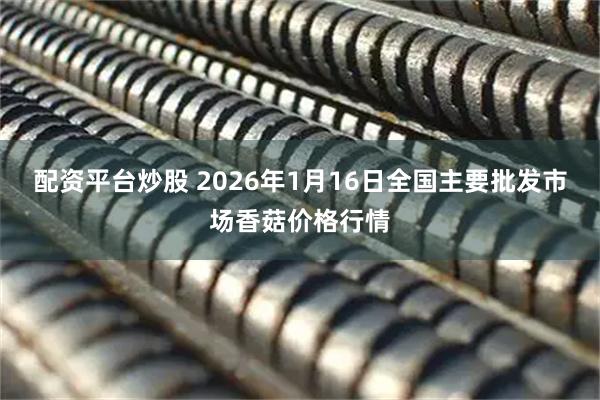 配资平台炒股 2026年1月16日全国主要批发市场香菇价格行情