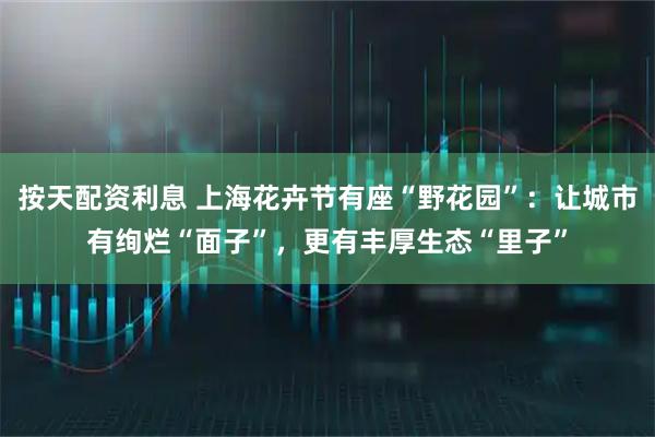 按天配资利息 上海花卉节有座“野花园”:让城市有绚烂“面子”,更有丰厚生态“里子”